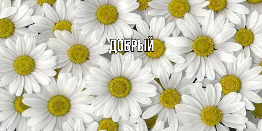 Открытка  с именем. Добрый, Главная  