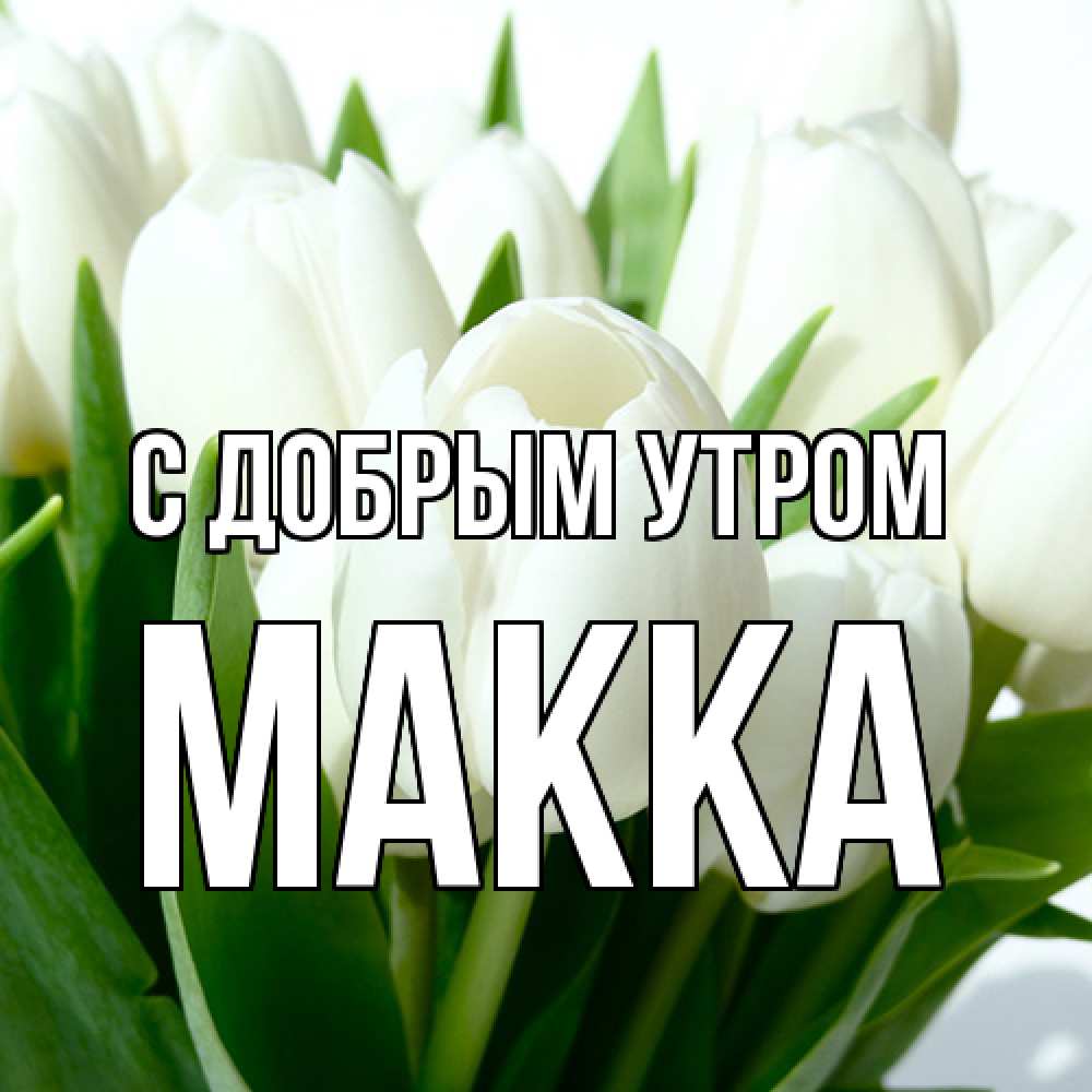 Открытка  с именем. Макка, С добрым утром  