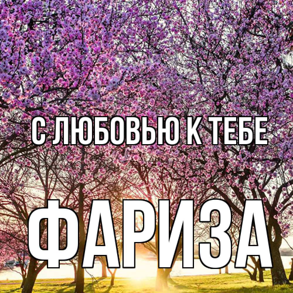 Открытка  с именем. Фариза, С любовью к тебе  