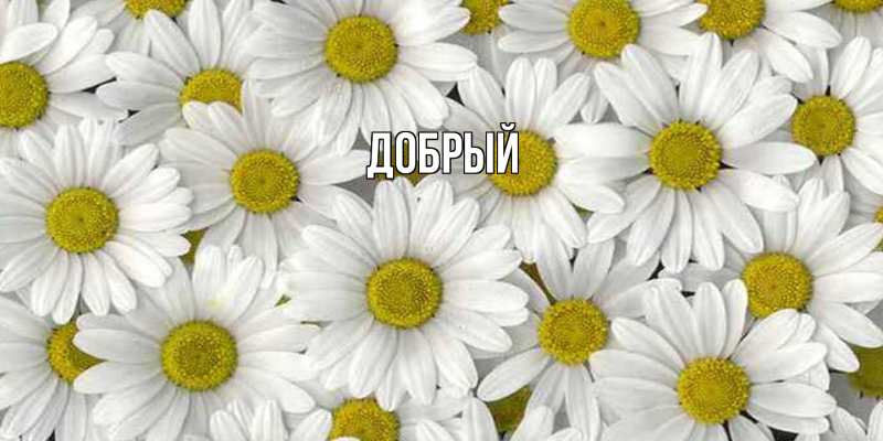 Картинка  с именем , Добрый