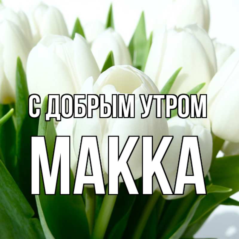 Картинка С добрым утром, Макка