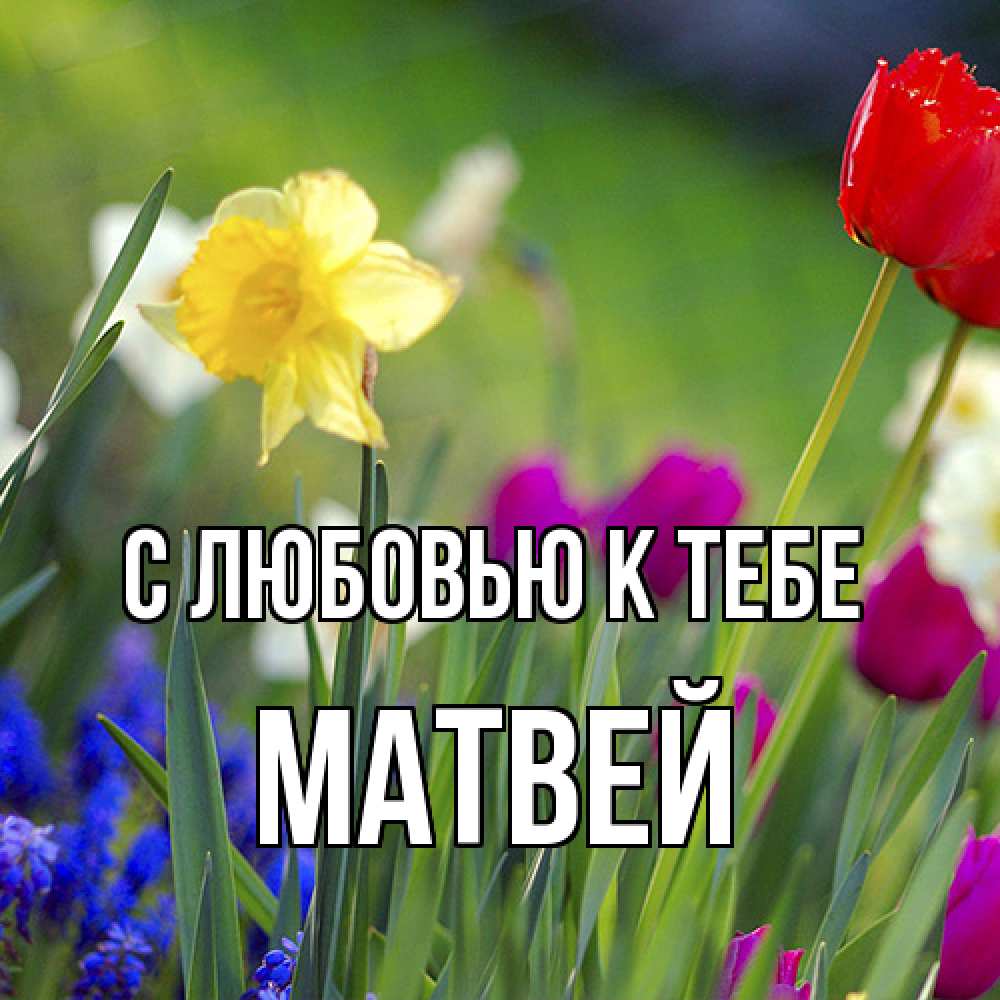 Открытка  с именем. Матвей, С любовью к тебе  