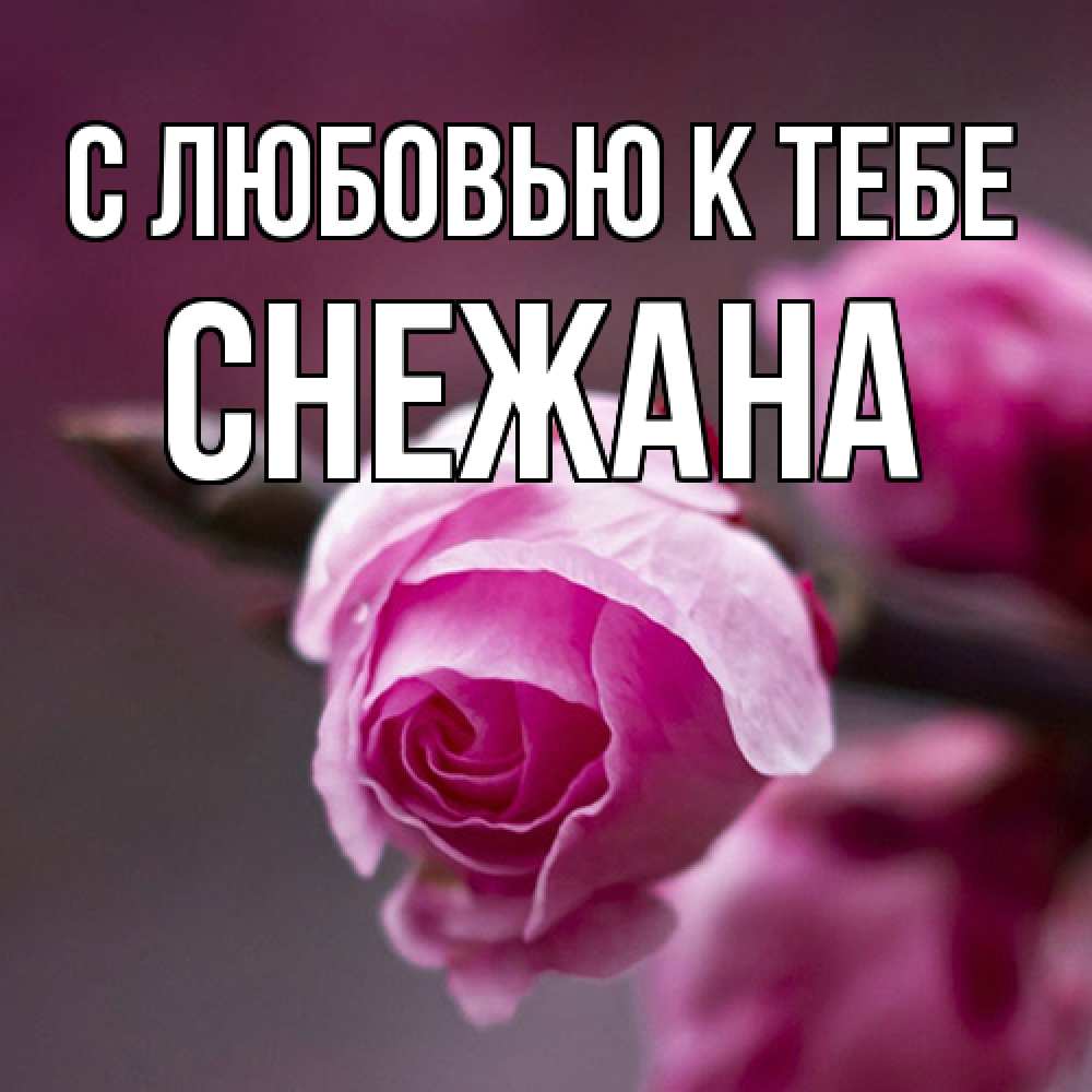 Открытка  с именем. Снежана, С любовью к тебе  