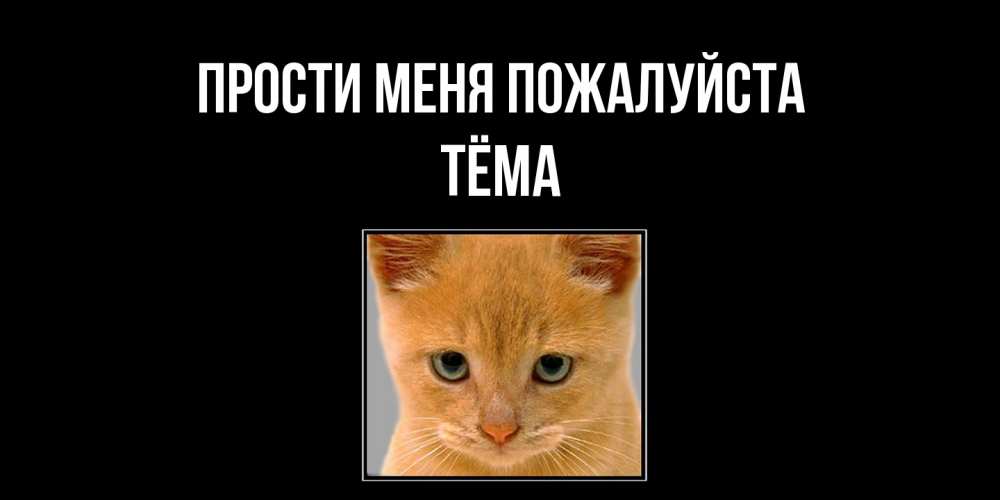 Открытка  с именем. Тёма, Прости меня пожалуйста  