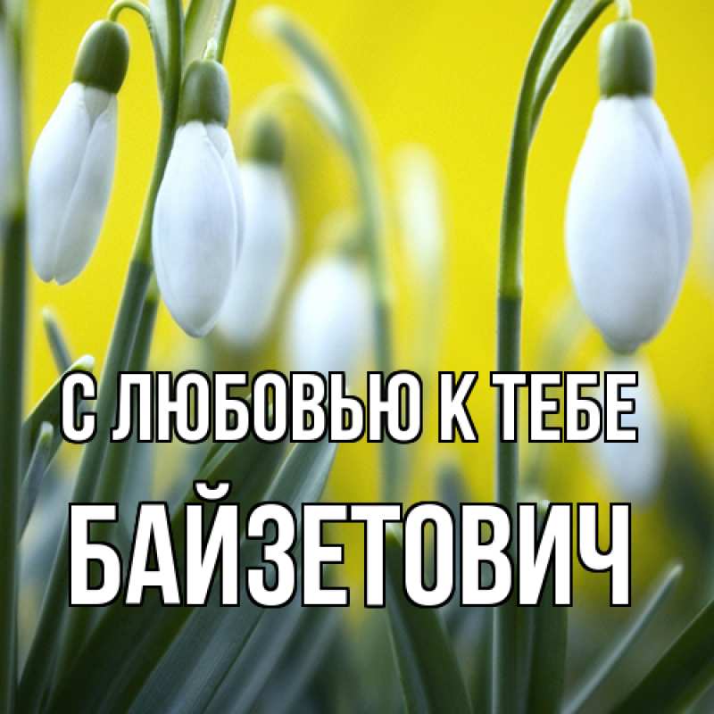 Картинка С любовью к тебе, Байзетович