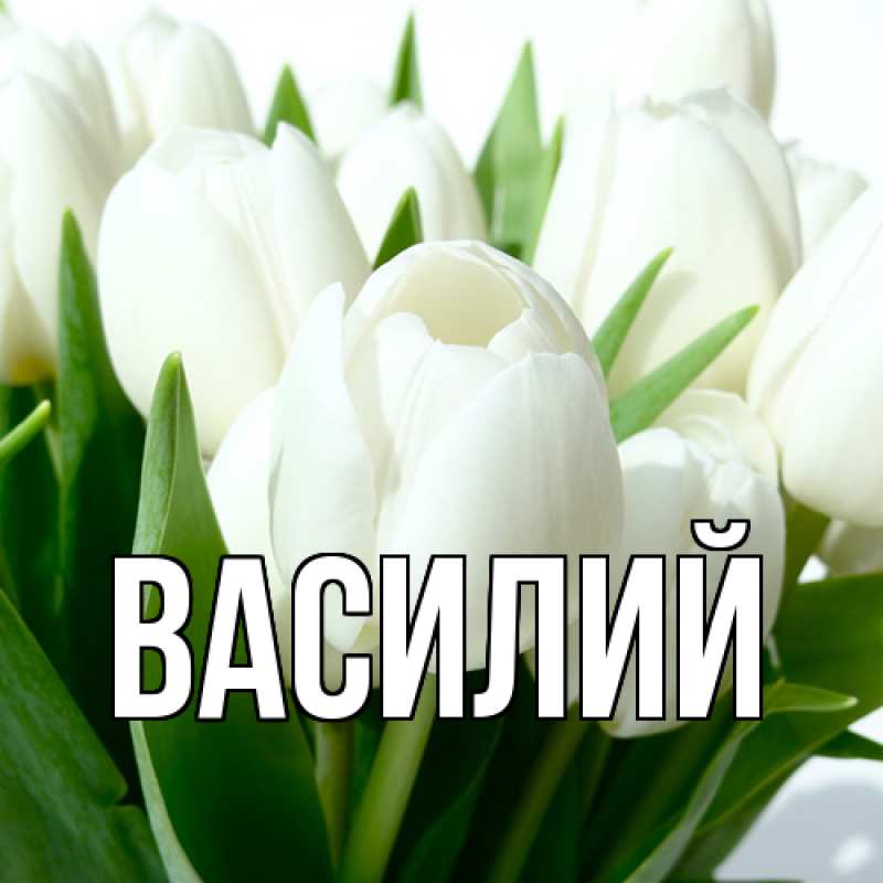 Картинка  с именем , Василий