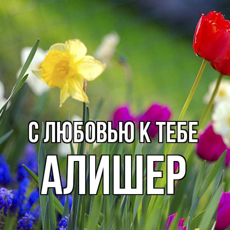 Картинка С любовью к тебе, Алишер