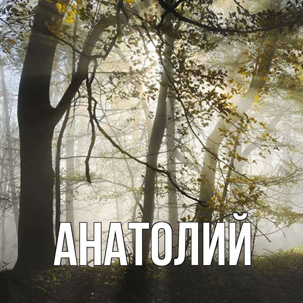 Открытка  с именем. Анатолий, Главная  