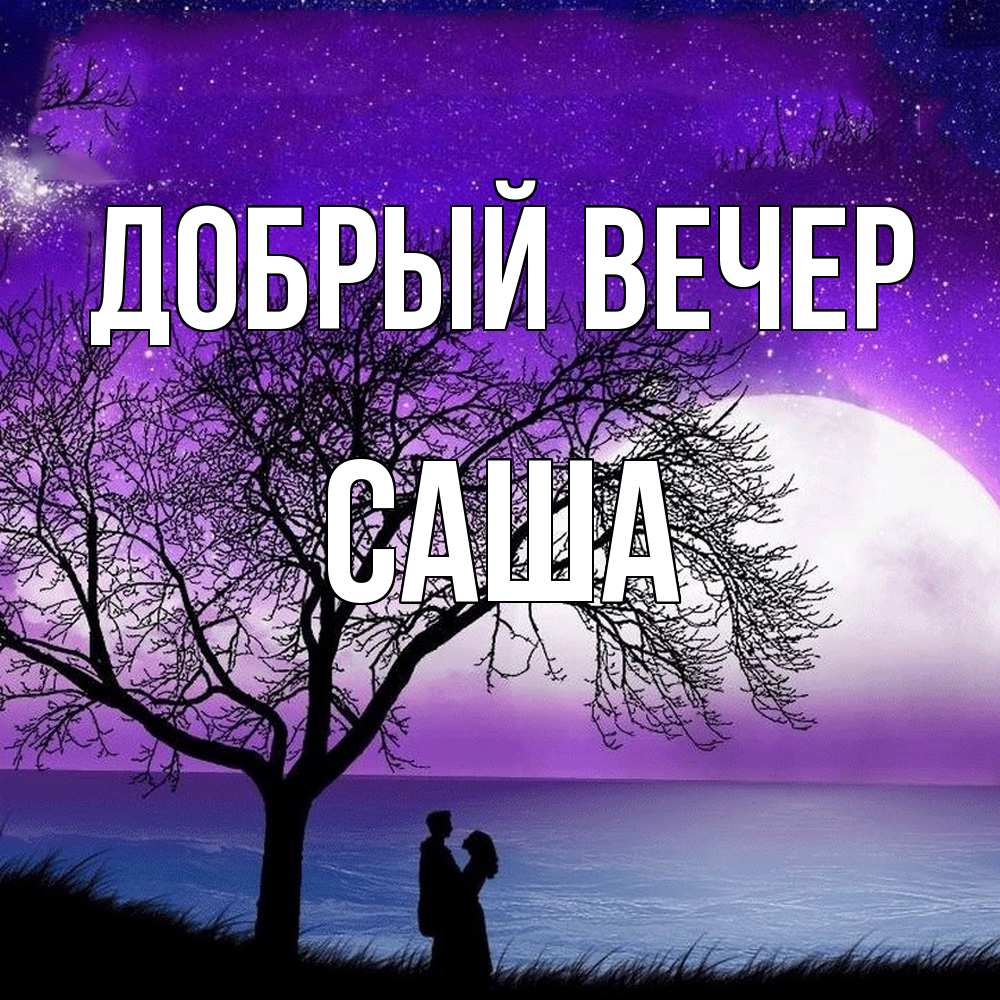 Открытка  с именем. Саша, Добрый вечер  