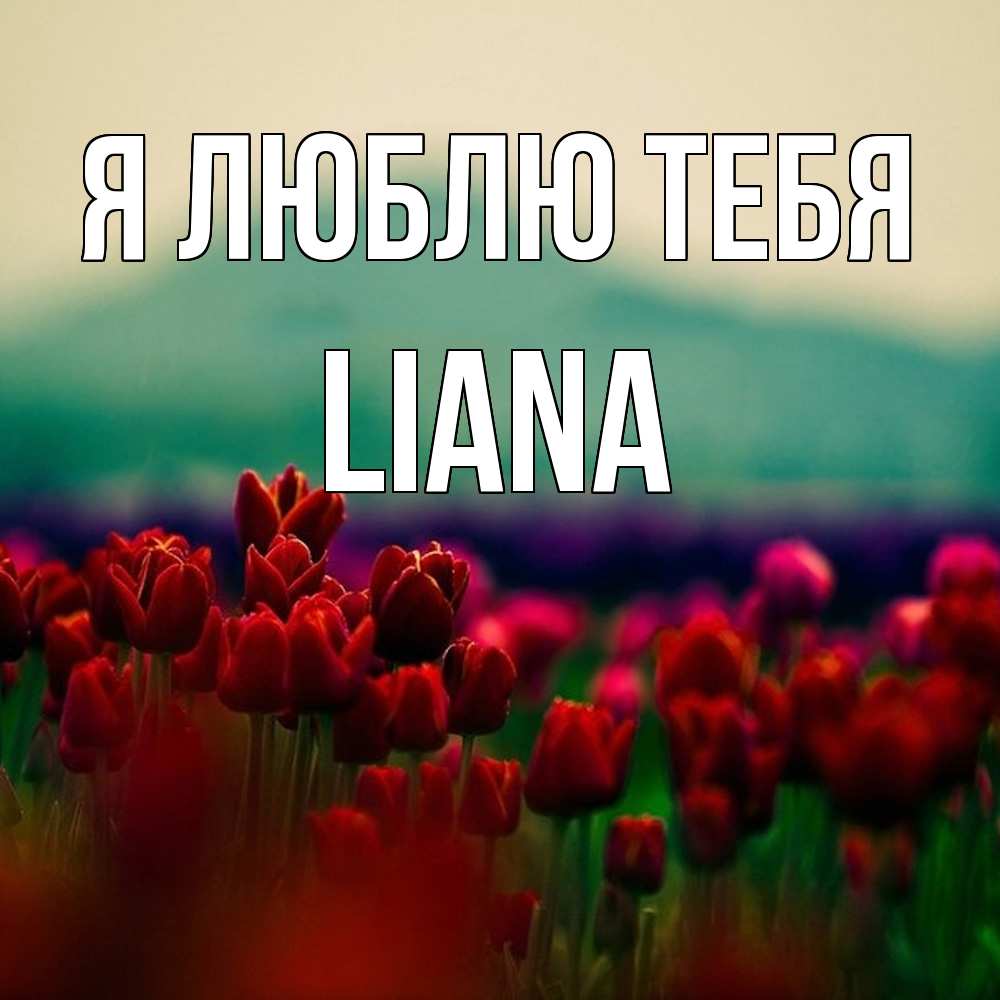 Открытка  с именем. Liana, Я люблю тебя  