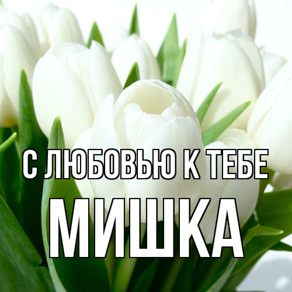 Открытка  с именем. Мишка, С любовью к тебе  