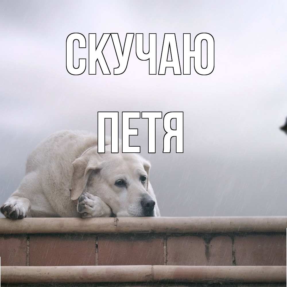 Открытка  с именем. Петя, Скучаю  