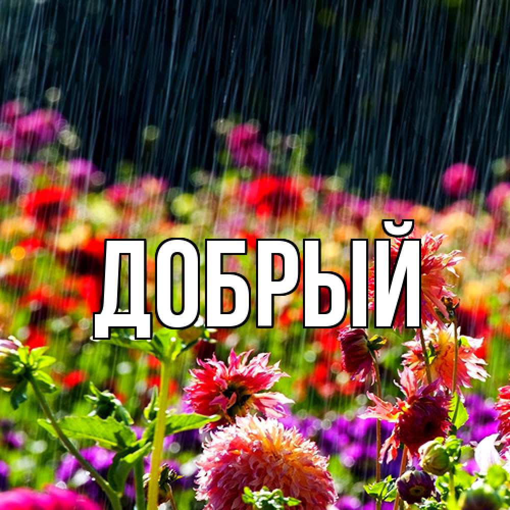 Открытка  с именем. Добрый, Главная  