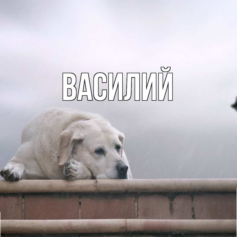 Картинка  с именем , Василий