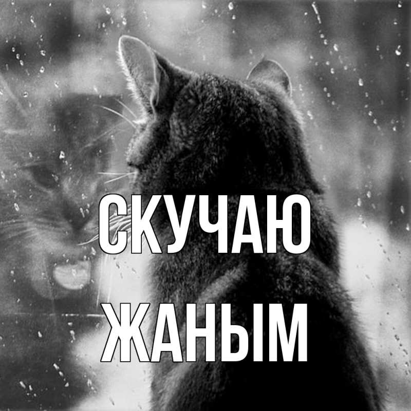 Картинка Скучаю, Жаным