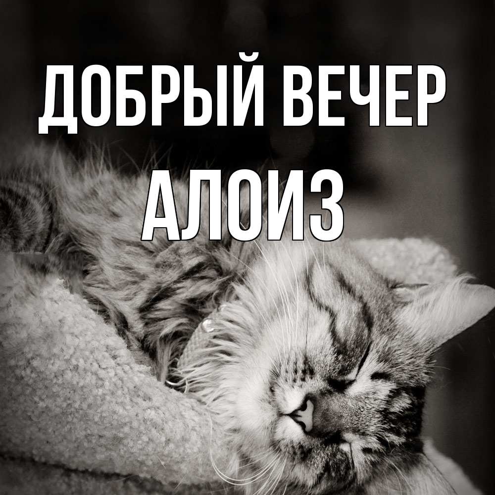 Открытка  с именем. Алоиз, Добрый вечер  