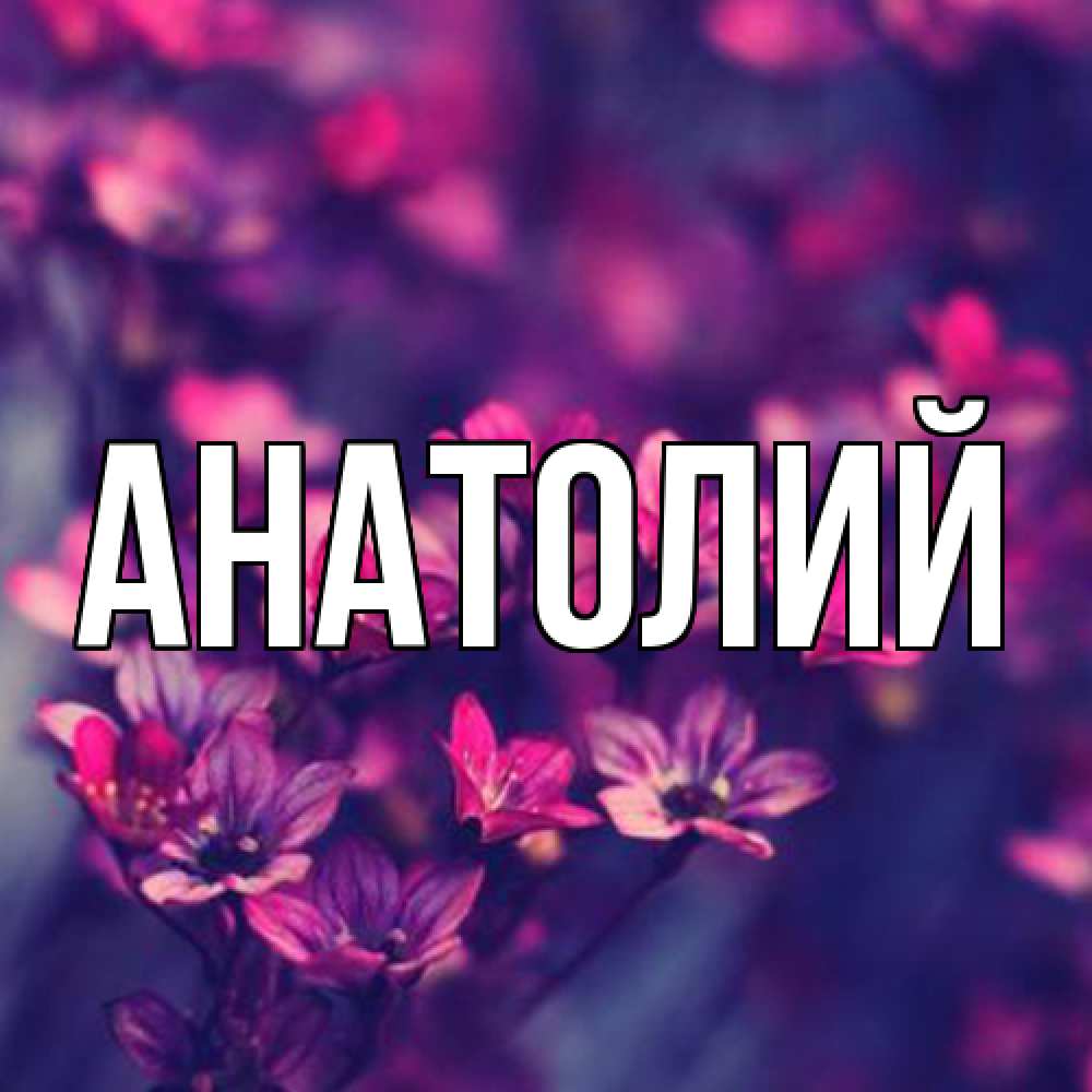 Открытка  с именем. Анатолий, Главная  