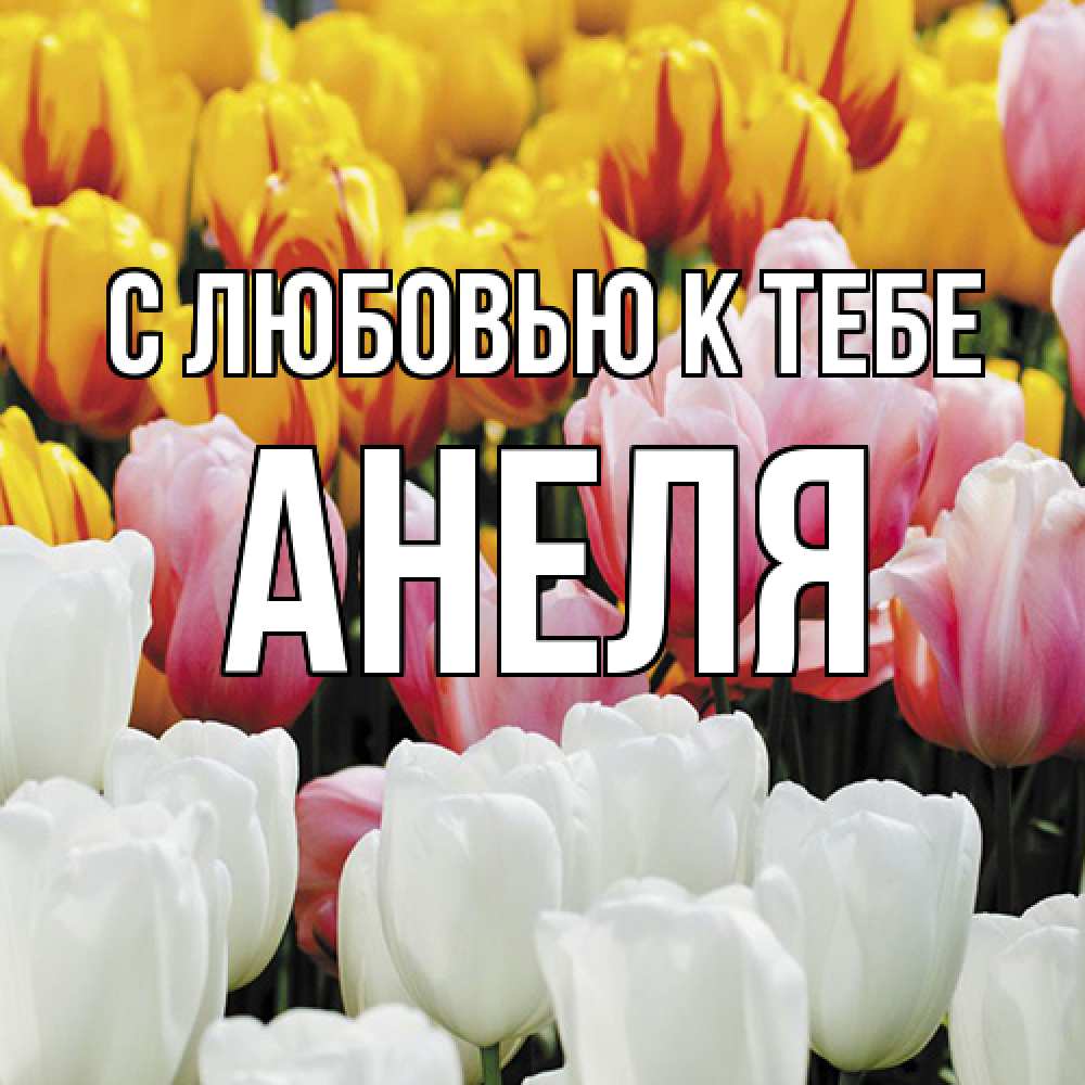 Открытка  с именем. Анеля, С любовью к тебе  
