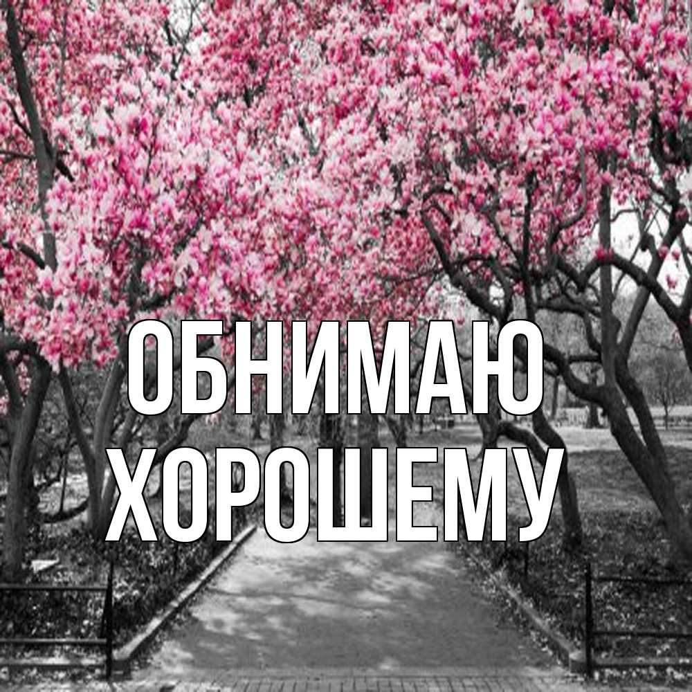Открытка  с именем. Хорошему, Обнимаю  