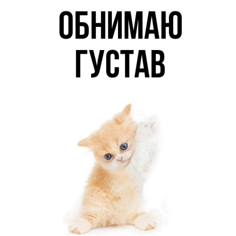 Картинка Обнимаю, Густав