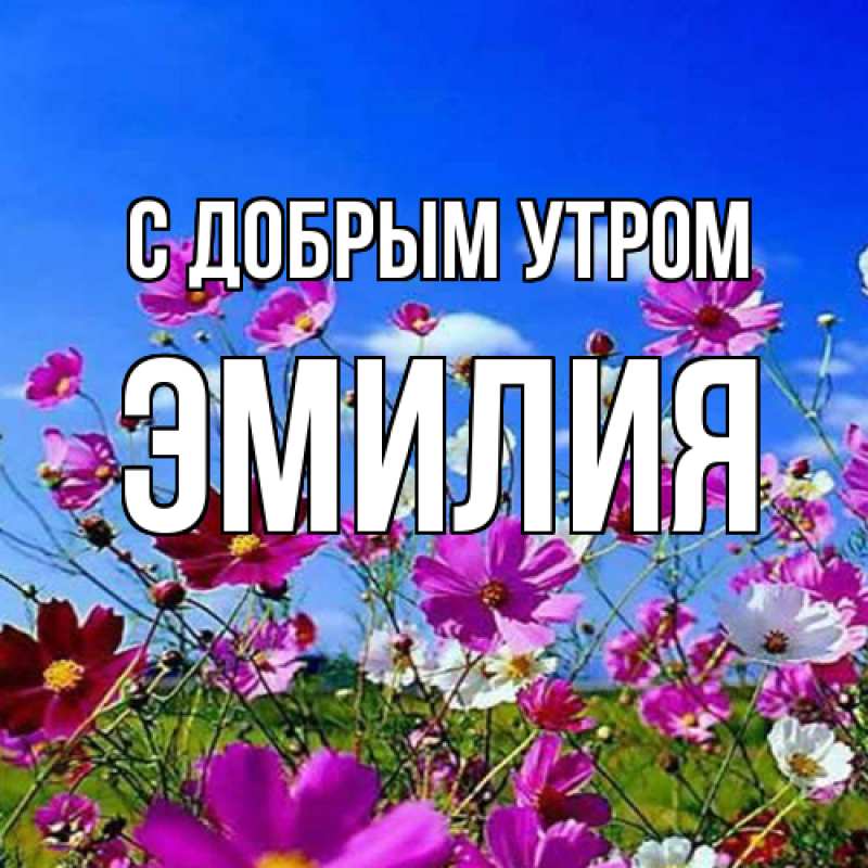 Картинка С добрым утром, Эмилия