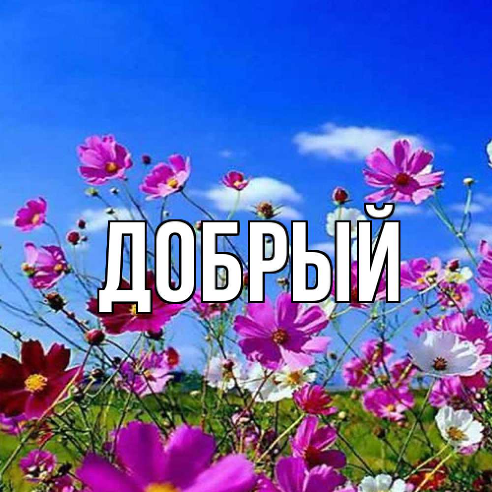 Открытка  с именем. Добрый, Главная  