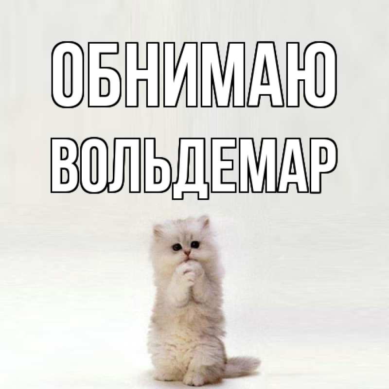 Картинка Обнимаю, Вольдемар