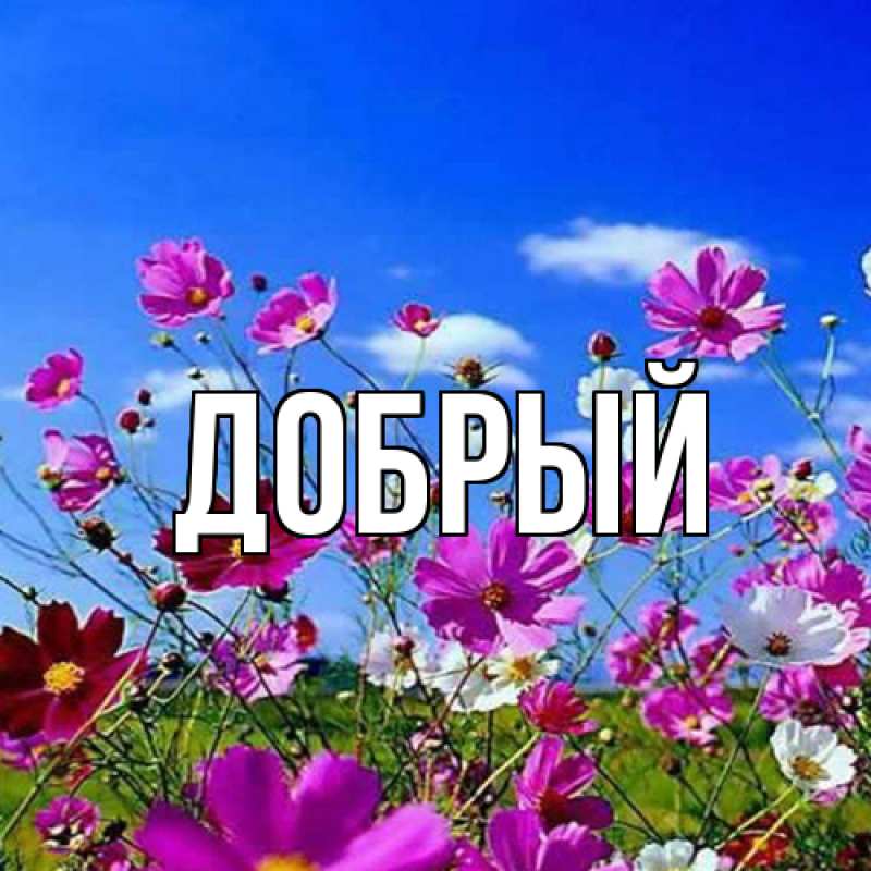 Картинка  с именем , Добрый