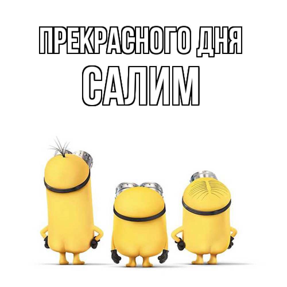 Открытка  с именем. Салим, Прекрасного дня  