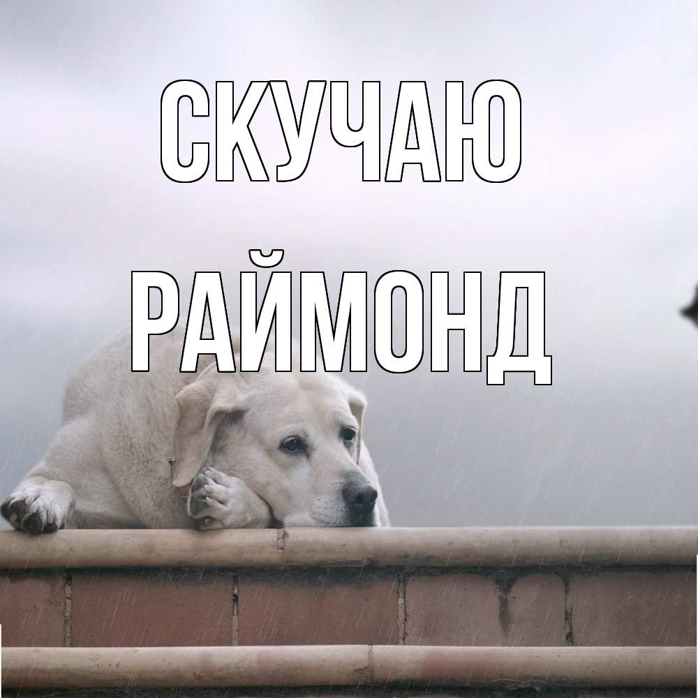 Открытка  с именем. Раймонд, Скучаю  