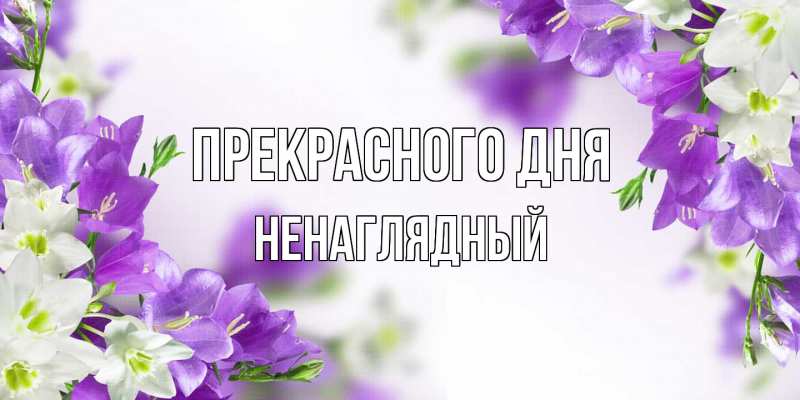 Картинка Прекрасного дня, Ненаглядный