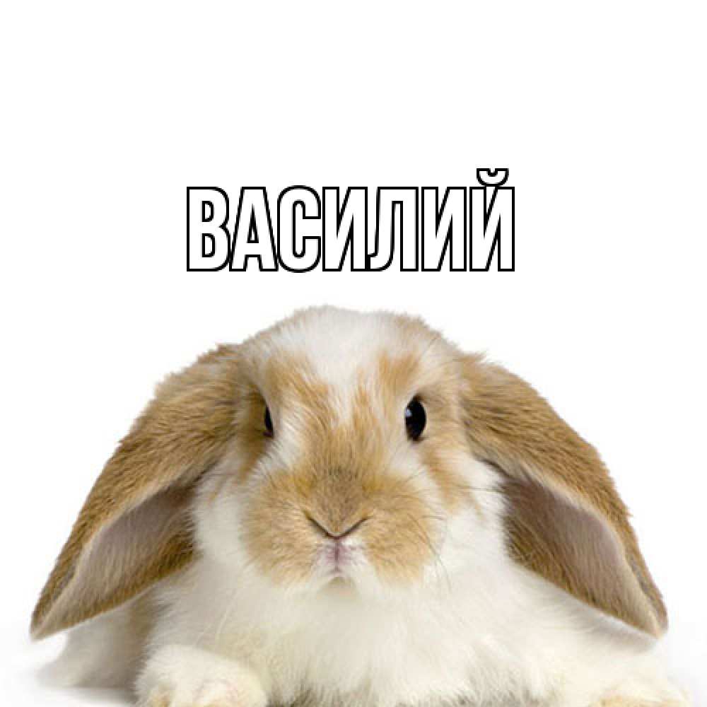 Открытка  с именем. Василий, Главная  