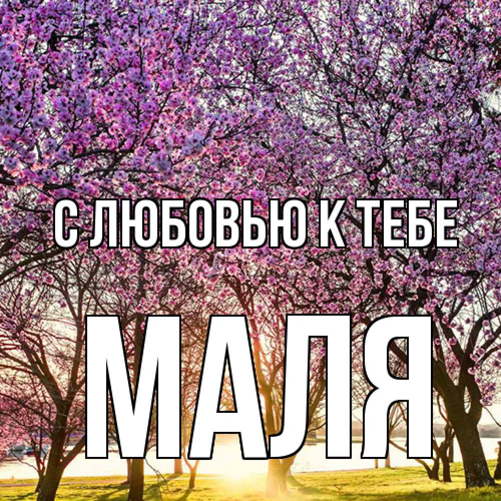 Открытка  с именем. Маля, С любовью к тебе  