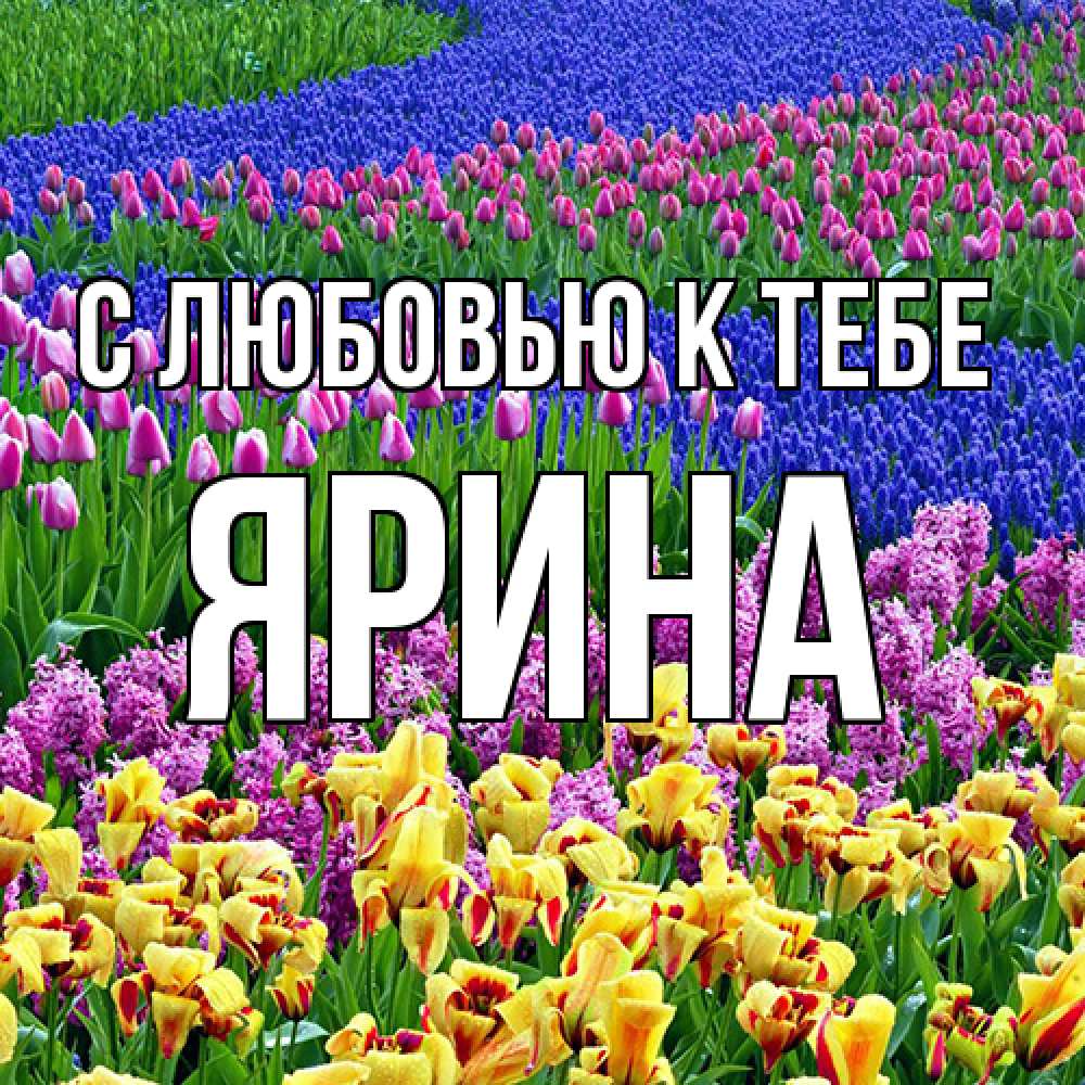 Открытка  с именем. Ярина, С любовью к тебе  