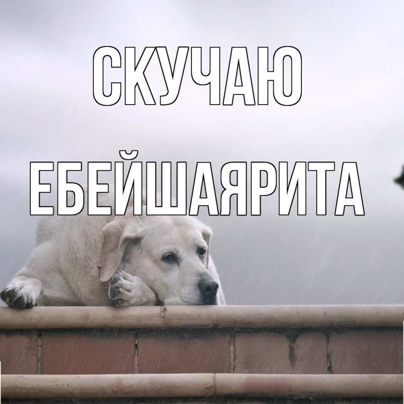 Картинка Скучаю, ЕбейшаяРита