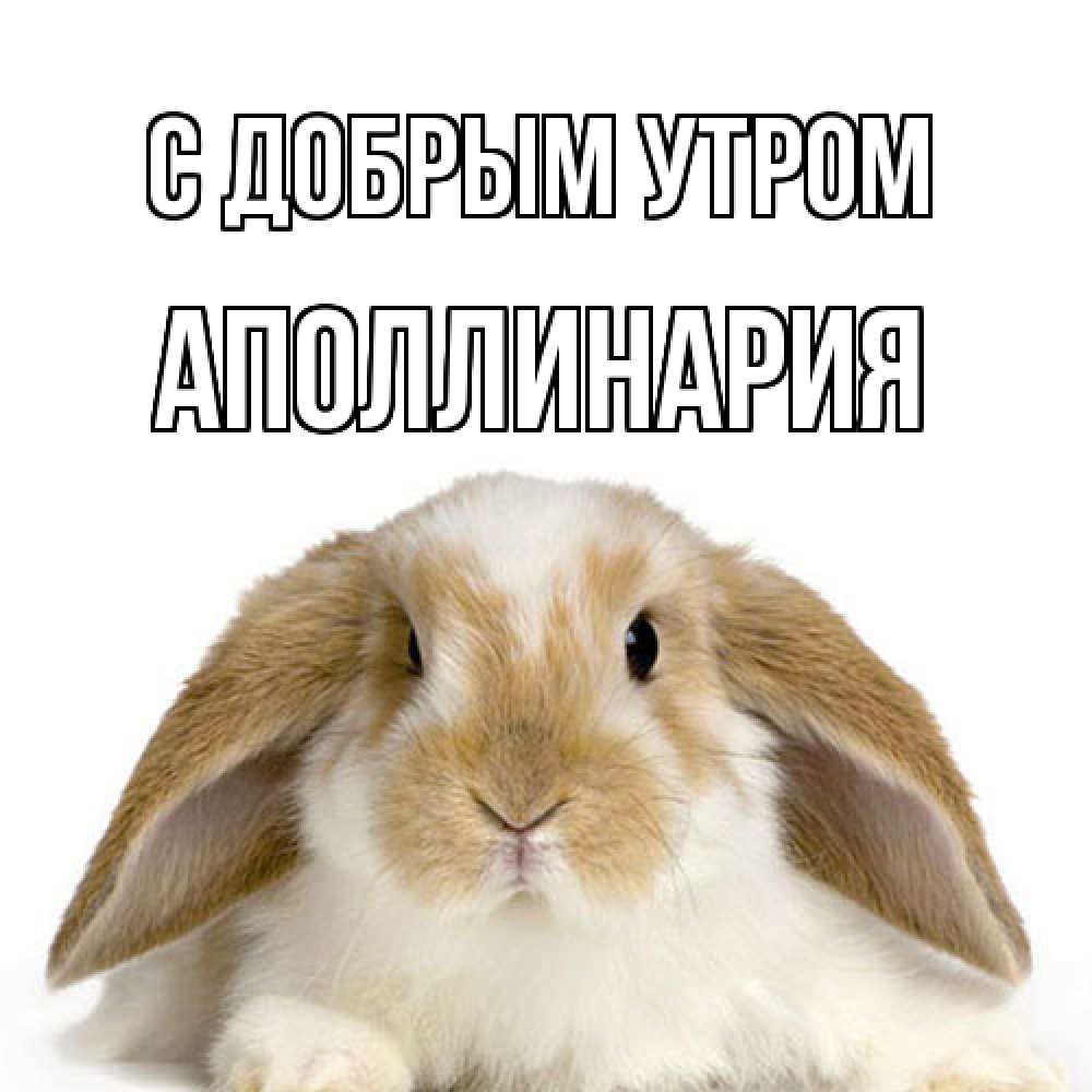 Открытка  с именем. Аполлинария, С добрым утром  