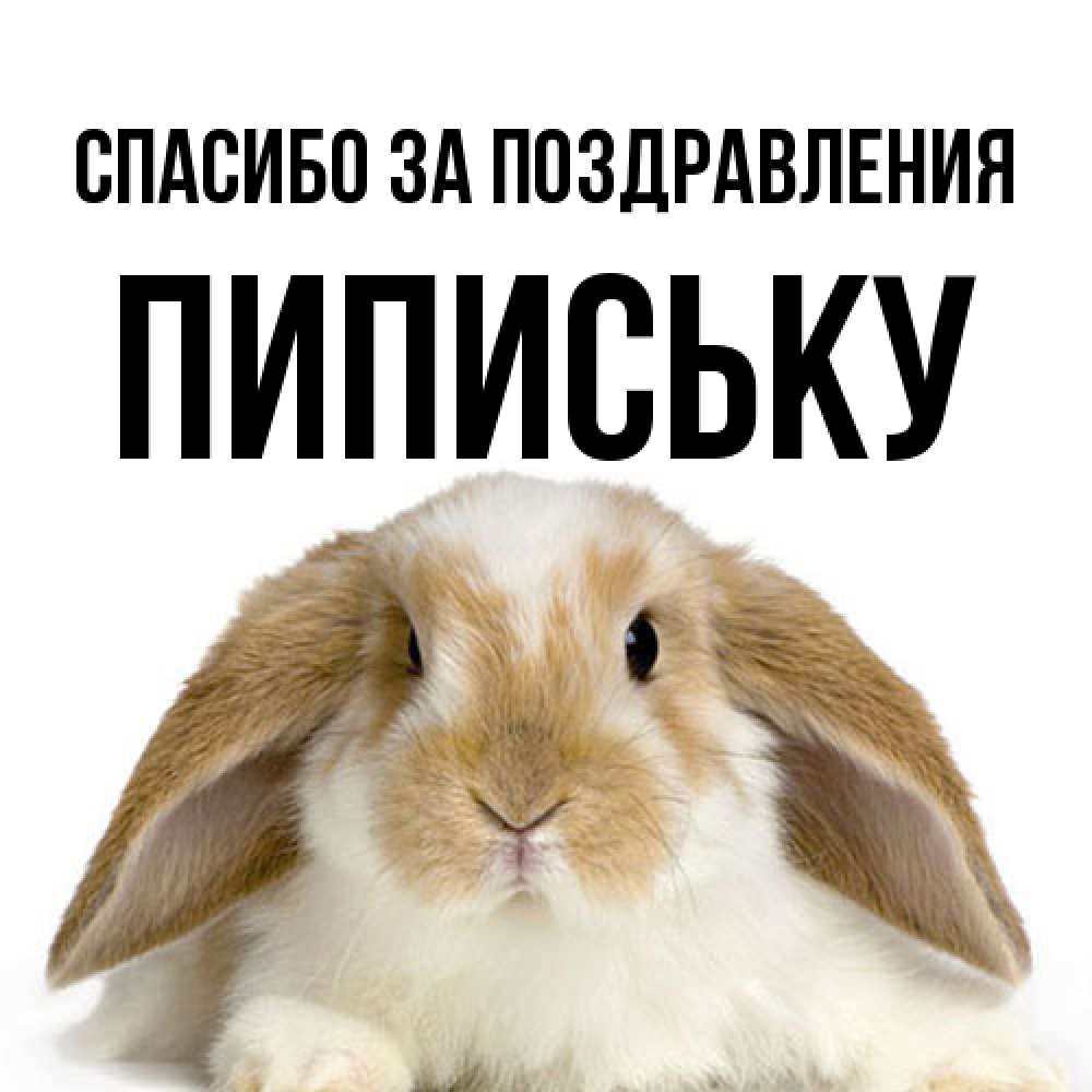 Открытка  с именем. Пипиську, Спасибо за поздравления  