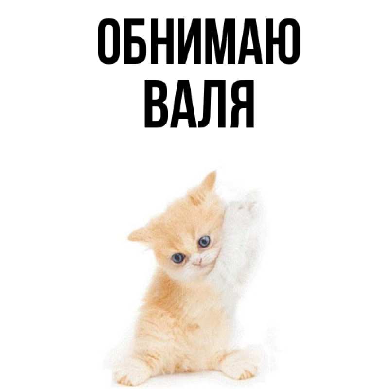 Картинка Обнимаю, Валя