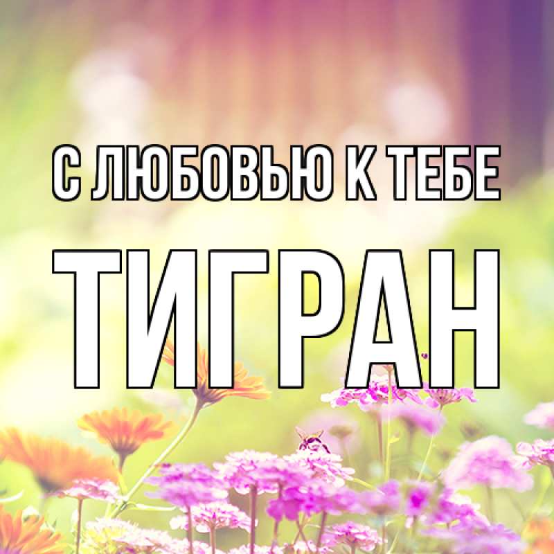 Картинка С любовью к тебе, Тигран