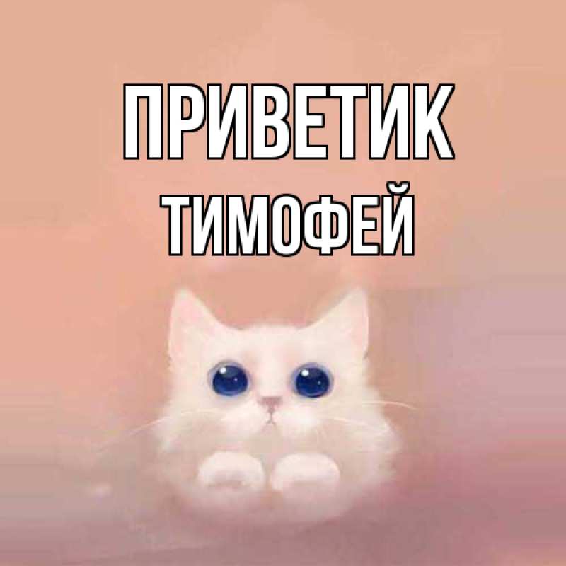 Картинка приветик, Тимофей