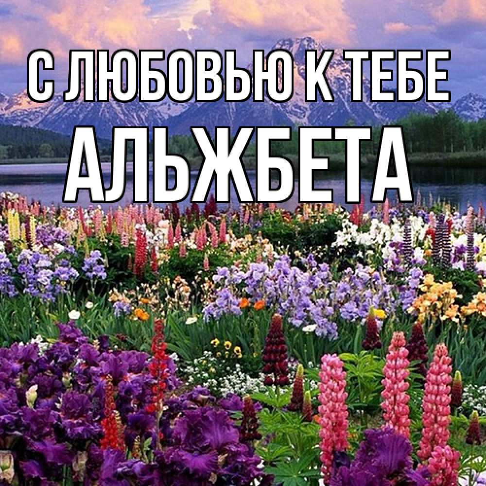 Открытка  с именем. Альжбета, С любовью к тебе  