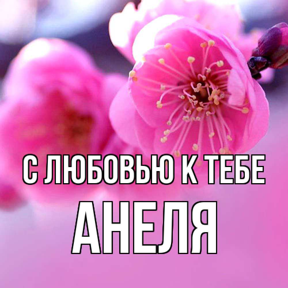 Открытка  с именем. Анеля, С любовью к тебе  