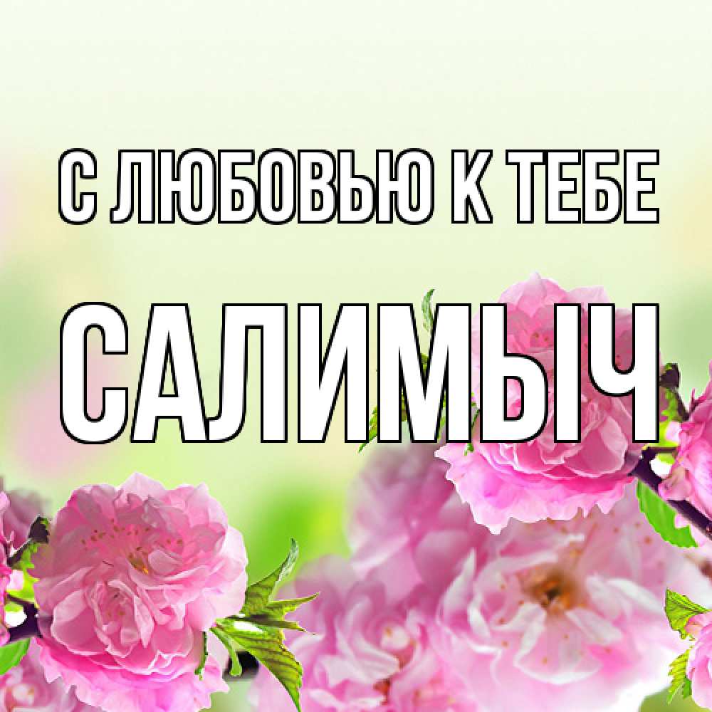 Открытка  с именем. Салимыч, С любовью к тебе  