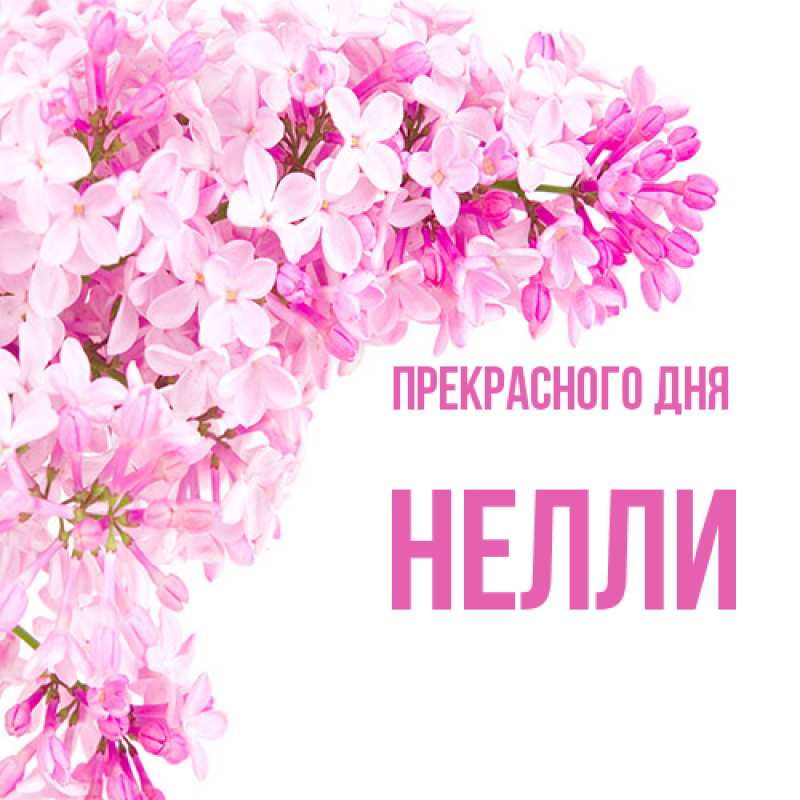 Картинка Прекрасного дня, Нелли