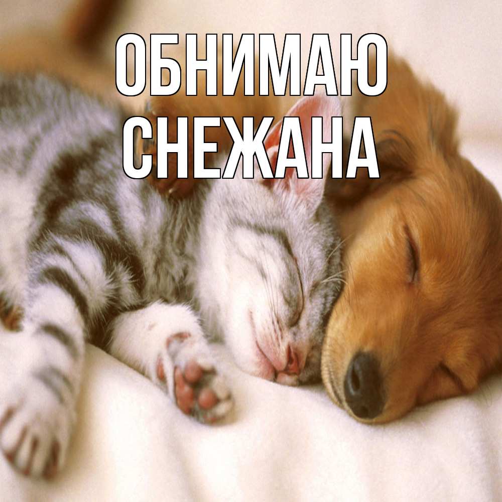 Открытка  с именем. Снежана, Обнимаю  