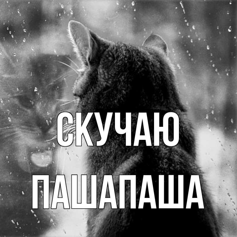 Картинка Скучаю, Пашапаша