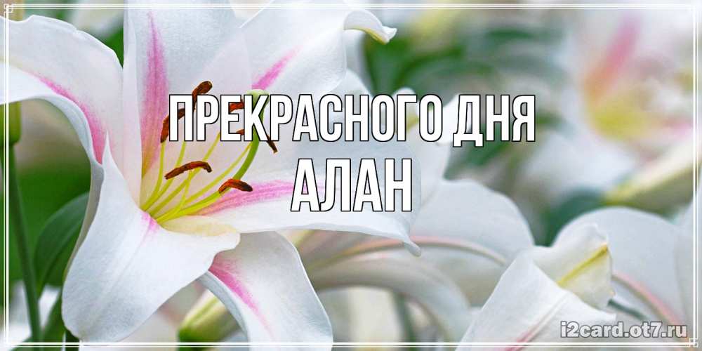 Открытка  с именем. Алан, Прекрасного дня  