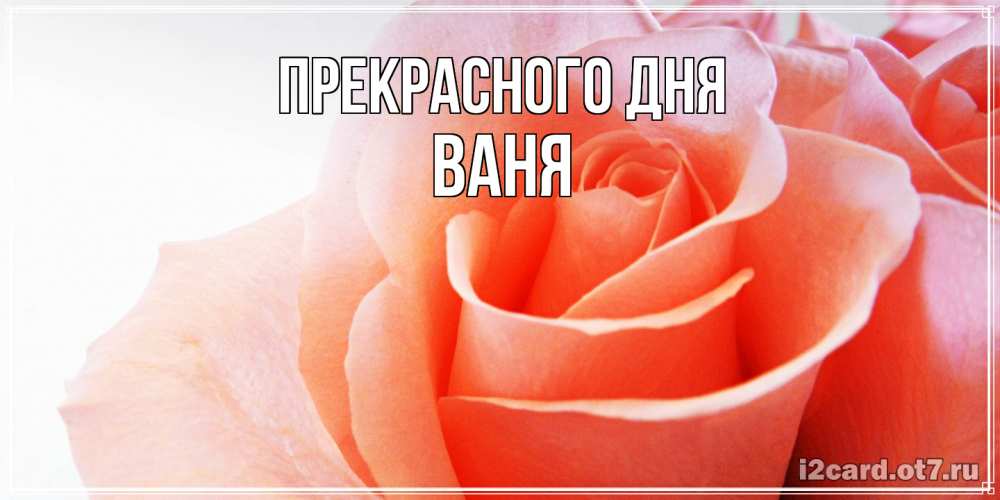 Открытка  с именем. Ваня, Прекрасного дня  