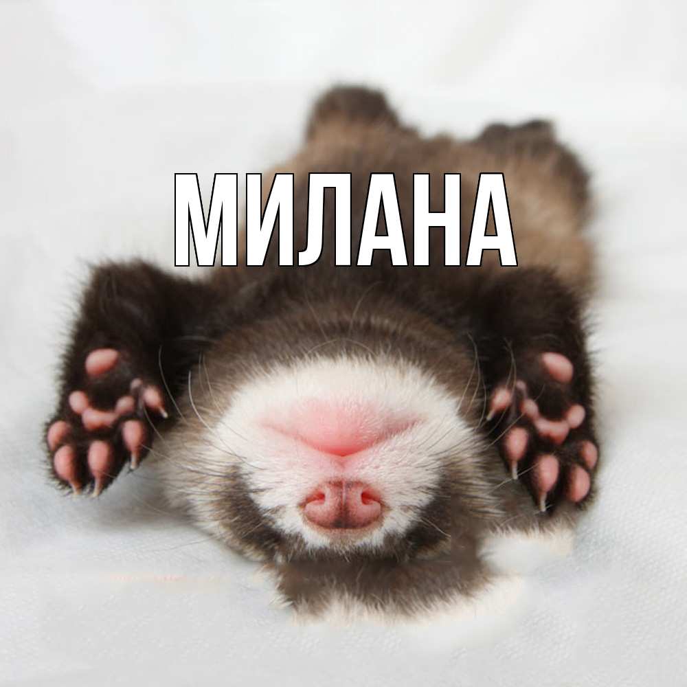Открытка  с именем. Милана, Главная  