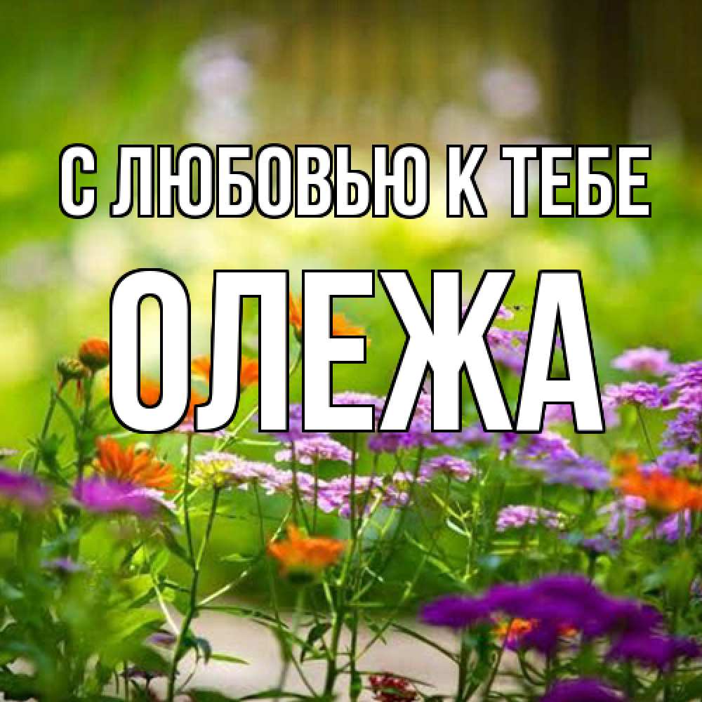 Открытка  с именем. Олежа, С любовью к тебе  